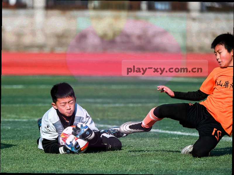活动中心分类卡片